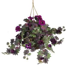 Morning Glory Hanging Basket - Purple