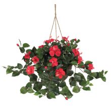 Hibiscus Hanging Basket - Red