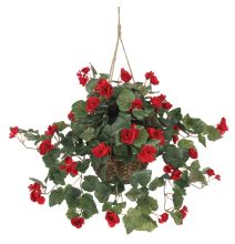 Begonia Hanging Basket - Red