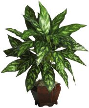 6617 - Silver King w/ Wood Vase Silk Plant Green