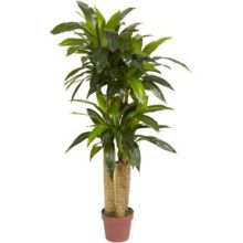 6648 4' Corn Stalk Dracaena Silk Plant (Real Touch)