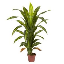 6650 4' Dracaena Silk Plant (Real Touch)