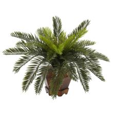 Cycas Silk Plant, w/Hexagon Vase