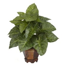 Taro Silk Plant, w/Vase