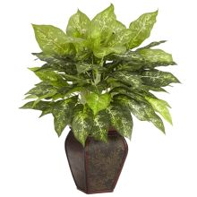 Dieffenbachia Silk Plant, w/Decorative Vase
