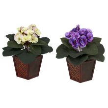 Silk African Violet, w/Vase (Set of 2)