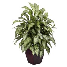Silver Queen Silk Plant, w/Decorative Planter