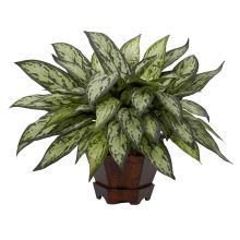 Silver Queen Silk Plant, Triple w/Hexagon Planter