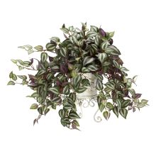 Wandering Jew Silk Plant, w/Metal Planter