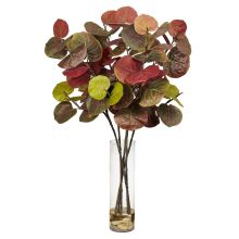 Giant Sea Grape Leaf Silk Plant, w/Cylinder