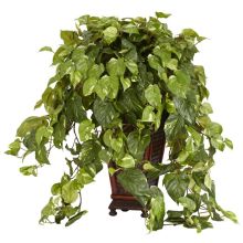 6703 - Vining Pothos w/Decorative Vase Silk Plant