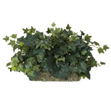 6707 - Ivy Set on Foam Sheet Silk Plant