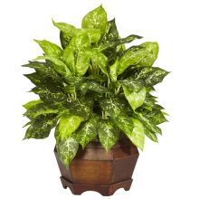 Dieffenbachia Silk Plant, Veriegated w/Large Hexagon