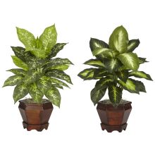 Dieffenbachia Silk Plant (Set of 2) Assorted, w/Wood Vase