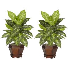 Dieffenbachia Silk Plant (Set of 2) Veriegated w/Wood Vase