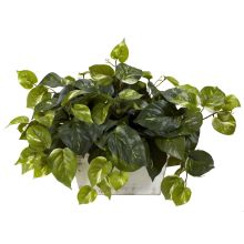 6713 - Pothos w/White Wash Planter Silk Plant