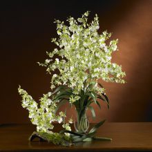 Dancing Lady Orchids Silk Flower (Color: Green, size: 6 stems)