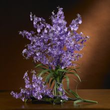 Dancing Lady Orchids Silk Flower (Color: Purple, size: 6 stems)