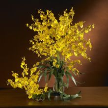 Dancing Lady Orchids Silk Flower (Color: Yellow, size: 6 stems)