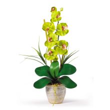 Silk Orchid Arrangement Single Stem Phalaenopsis (Color: Green)