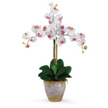 Silk Orchid Arrangement, Triple Stem Phalaenopsis (Color: White)